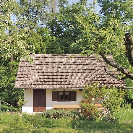 Villa Ferienhaus Heiligenbrunn Extérieur photo